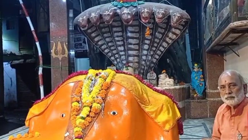 शेषनाग गणेश मंदिर में भगवान गणेश ने विसर्जन से किया इंकार