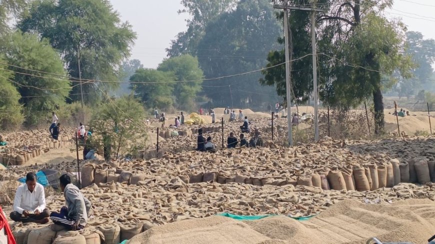 खुले में पड़ी है धान और बारिश का है अनुमान