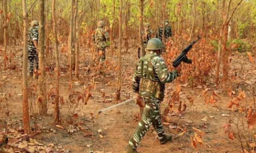 छत्तीसगढ़: सुरक्षाबलों को मिली बड़ी सफलता, 25 लाख इनामी महिला माओवादी मुठभेड़ में ढेर