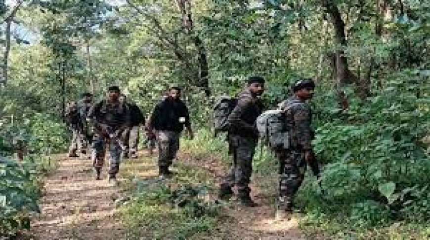 मंडला मुठभेड़ में हॉक फोर्स का एक्शन, 14-14 लाख की इनामी दो महिला नक्सली ढेर