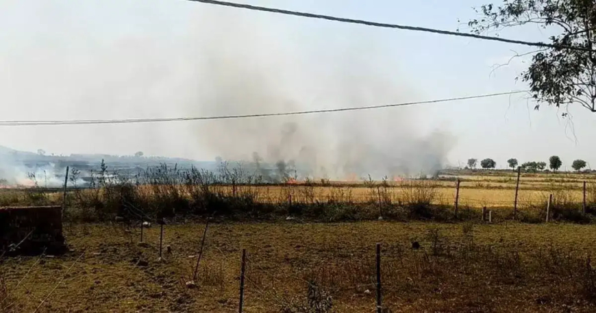 सतना में नरवाई जलाने पर 30 किसानों पर एफआईआर दर्ज, कलेक्टर के आदेश को किया था नजरअंदाज